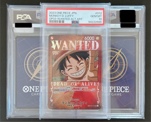 画像1: PSA10福袋 (1)